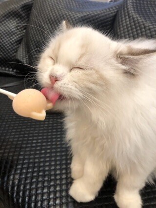 準備OK！