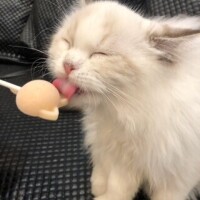 準備OK！