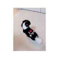 りり