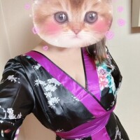 ひまわり