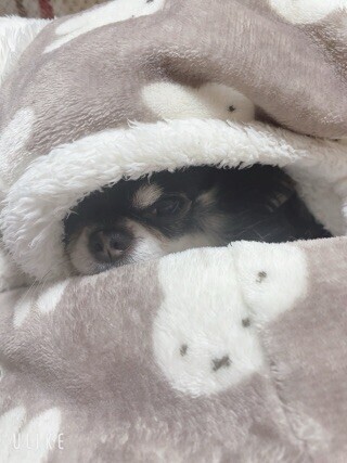 近くに感じる！