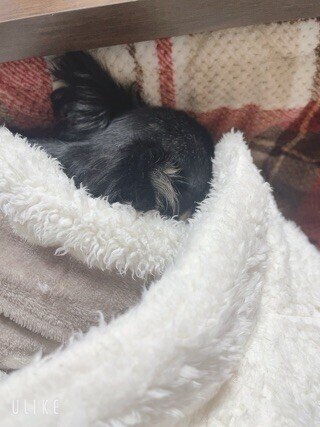 こんなすごいなんて！