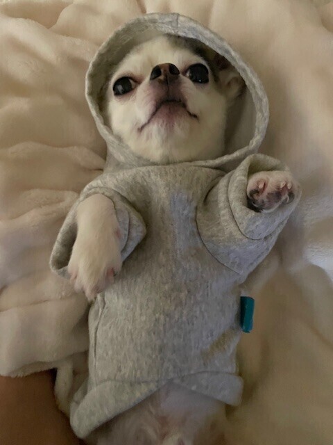 急な気温差にご注意を⚠️