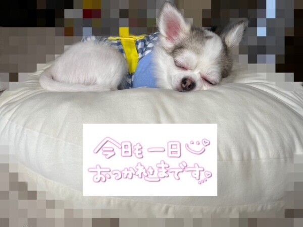 昨日はありがとうございました😊