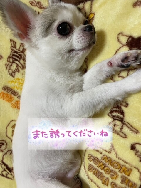 昨日はありがとう🫣