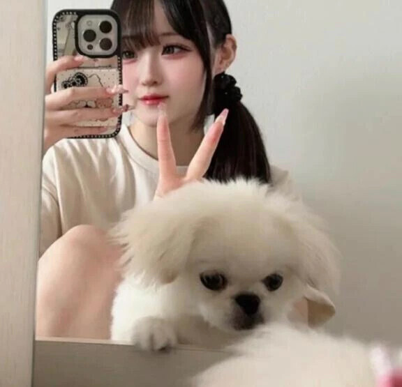 お突き合い