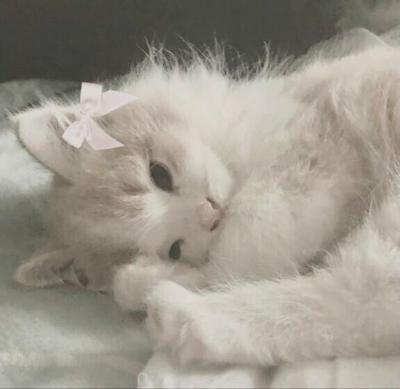 ありがとうございました🫶🏻
