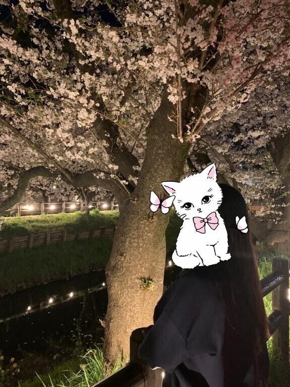 おはよう