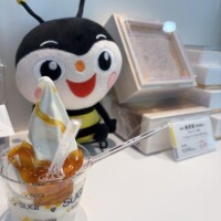 【ご報告】本日おやすみします🙇‍♀️