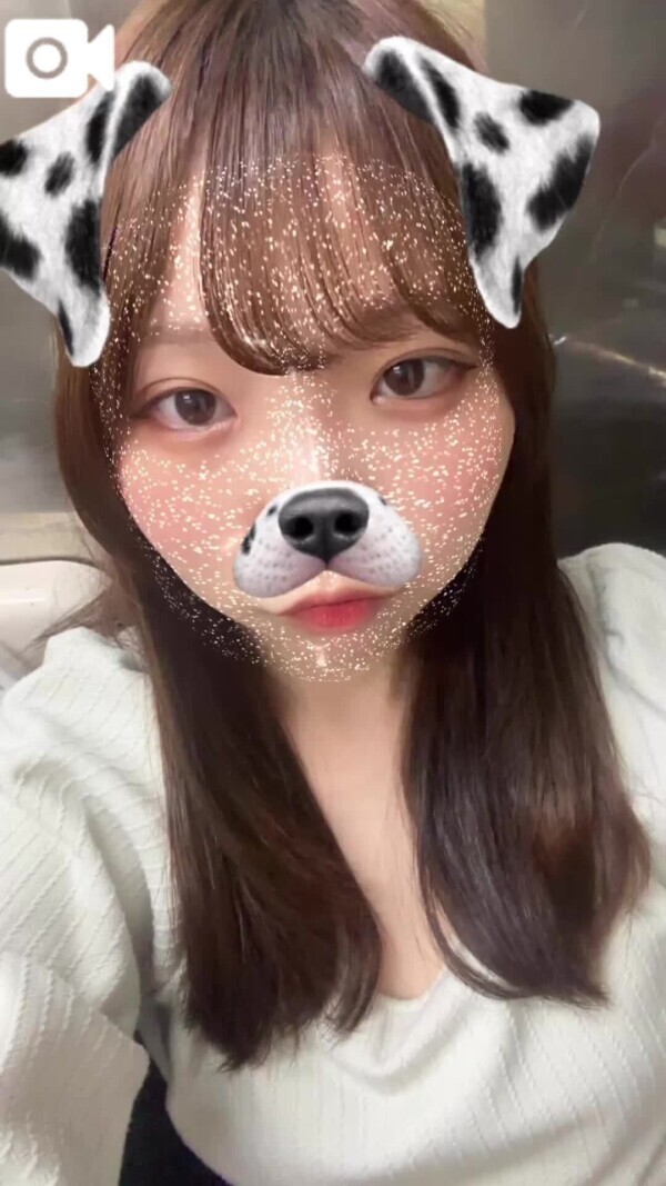 どんな一日？🌸