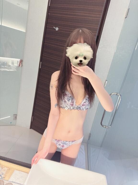 お知らせ⋆͛📢⋆
