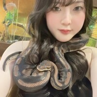まとわりつく…