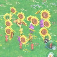 🩷最近ハマってるコト🩵