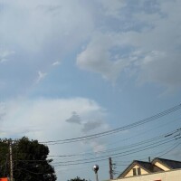 11日までです！！