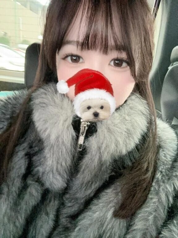 ‼️本日最終日‼️