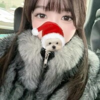 ‼️本日最終日‼️