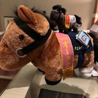 めちゃめちゃ嬉しい🥺