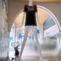 ろい
