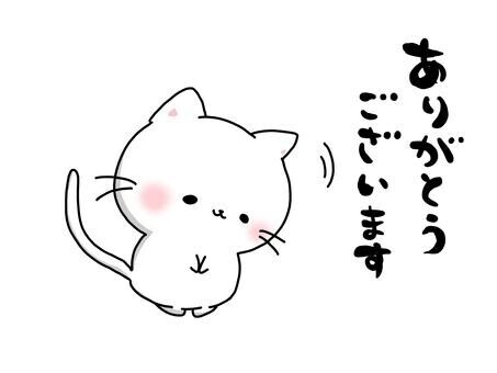いままでありがとうございました(T ^ T)