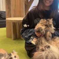 こゆき