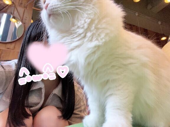明日居ます???.?
