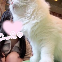 明日居ます???.?