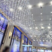 やーーーっと都内！