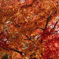 おはよう????????*?