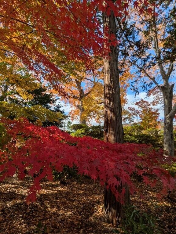 秋……？それとも冬？