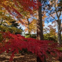 秋……？それとも冬？