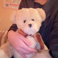 昨日のお礼日記?