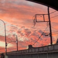 1月登校のお知らせ?