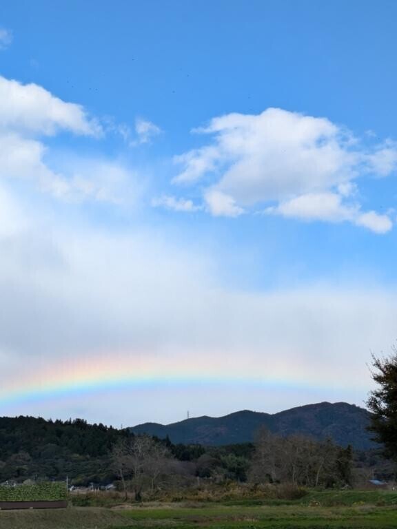 2025年ありがとうございました?