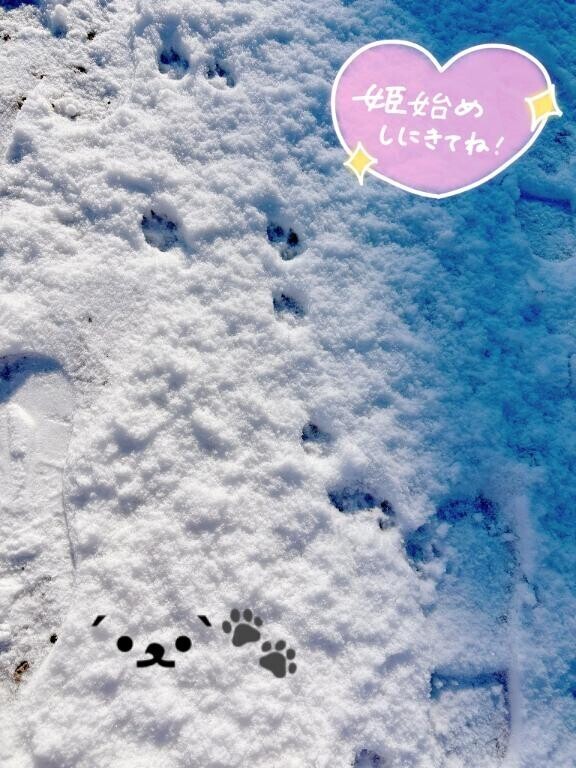 ...ｴｯﾎ..ｴｯﾎ.. ﾍ(*¨)ﾉ