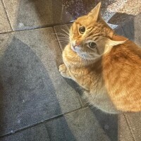 なんでーーーーー???