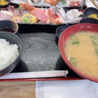 さかなーーー！！?