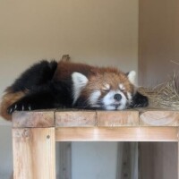 2月の登校予定?