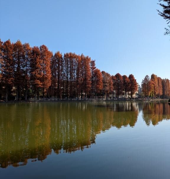 お誕生日祝ってくれてありがとう?