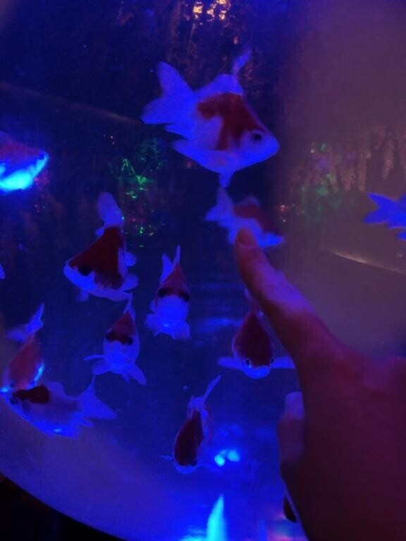 今日は都会巡り～♪