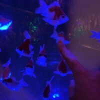 今日は都会巡り～♪