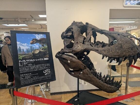 休日の過ごし方?