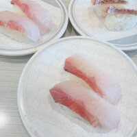 明日からの予定！