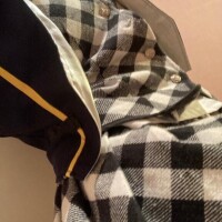 Yさんおれい?