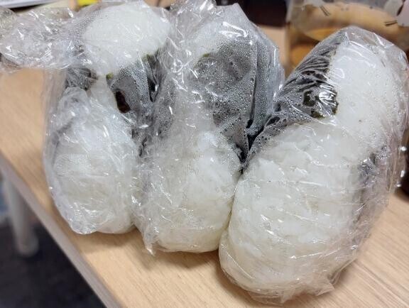 遠足気分?