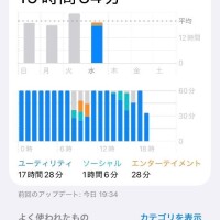 たぶん????