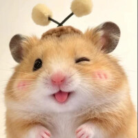 めろ