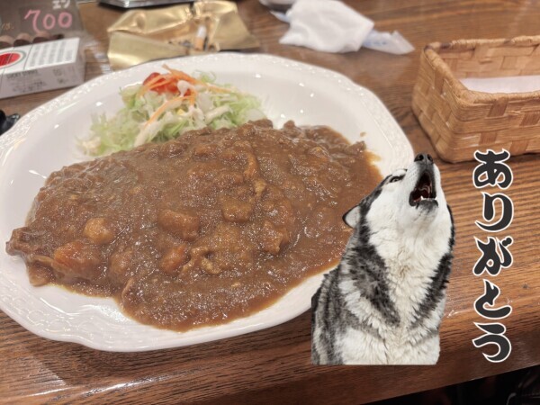 コスパ良かった