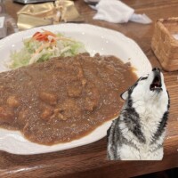 コスパ良かった