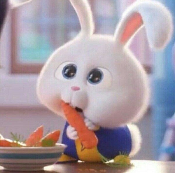 ⛄️