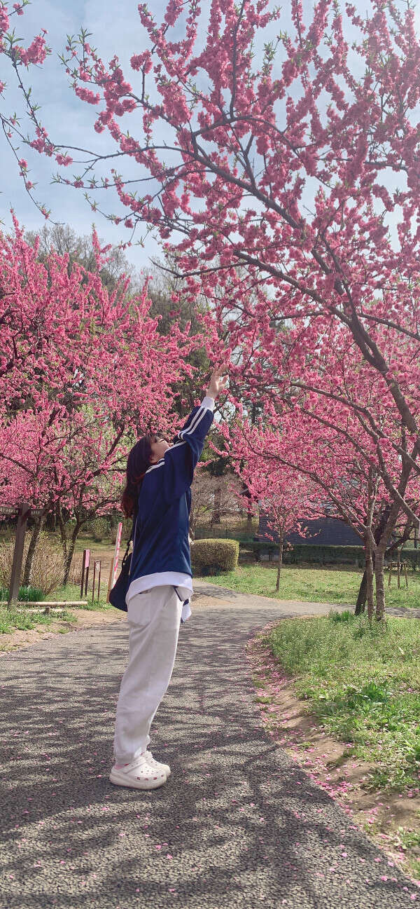 しゅ〜